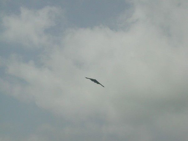 Georgetown Air Show 2001, Georgetown, Texas